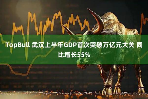TopBull 武汉上半年GDP首次突破万亿元大关 同比增长55%